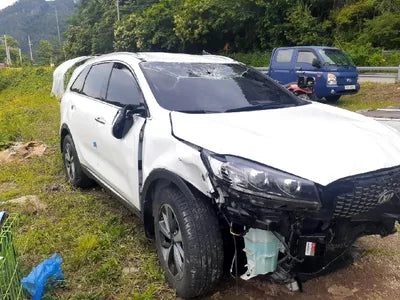 2019 Kia Sorento 657KMKNAPG81ABKA5 VIN:657KMKNAPG81ABKA5