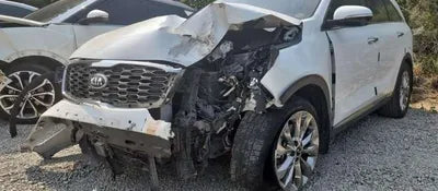 2019 Kia Sorento KNAPS81BBLA564800 VIN:KNAPS81BBLA564800