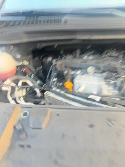 2020 Kia Carnival KNAMB81ABLS648113 VIN:KNAMB81ABLS648113