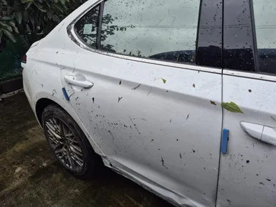 2021 Genesis G70 KMTG341ADMU089387 VIN:KMTG341ADMU089387