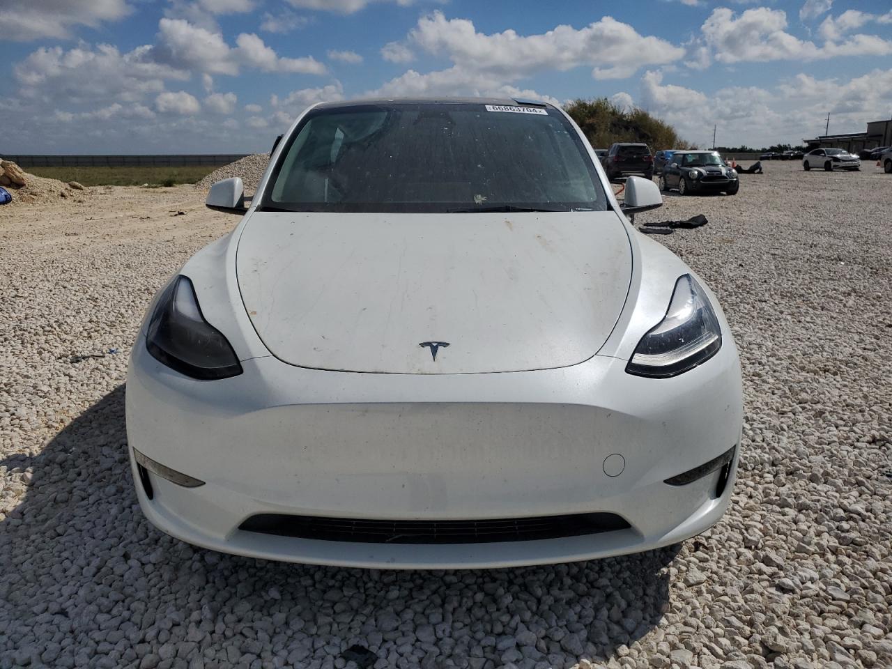 2023 TESLA MODEL Y VIN:7SAYGDEE1PA189036