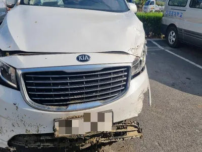 2016 Kia Carnival KNHMF37ABGS234094 VIN:KNHMF37ABGS234094
