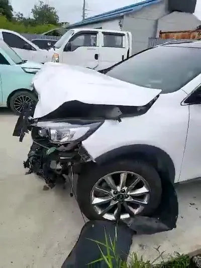 2016 Kia Sorento KNAPS81ABHA281234 VIN:KNAPS81ABHA281234