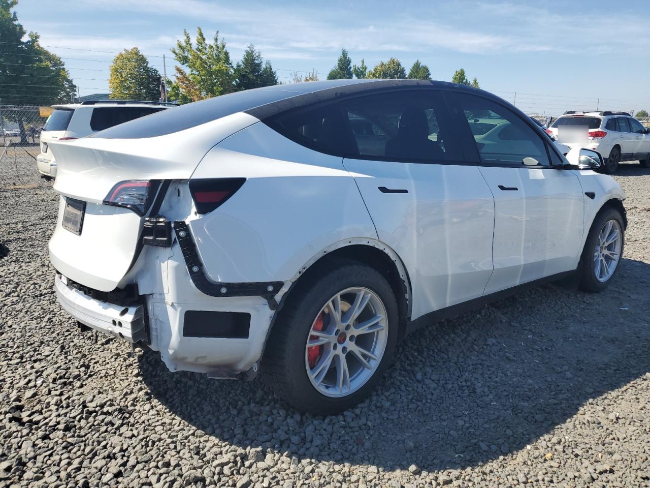 2023 TESLA MODEL Y  VIN:7SAYGDEE1PF812593