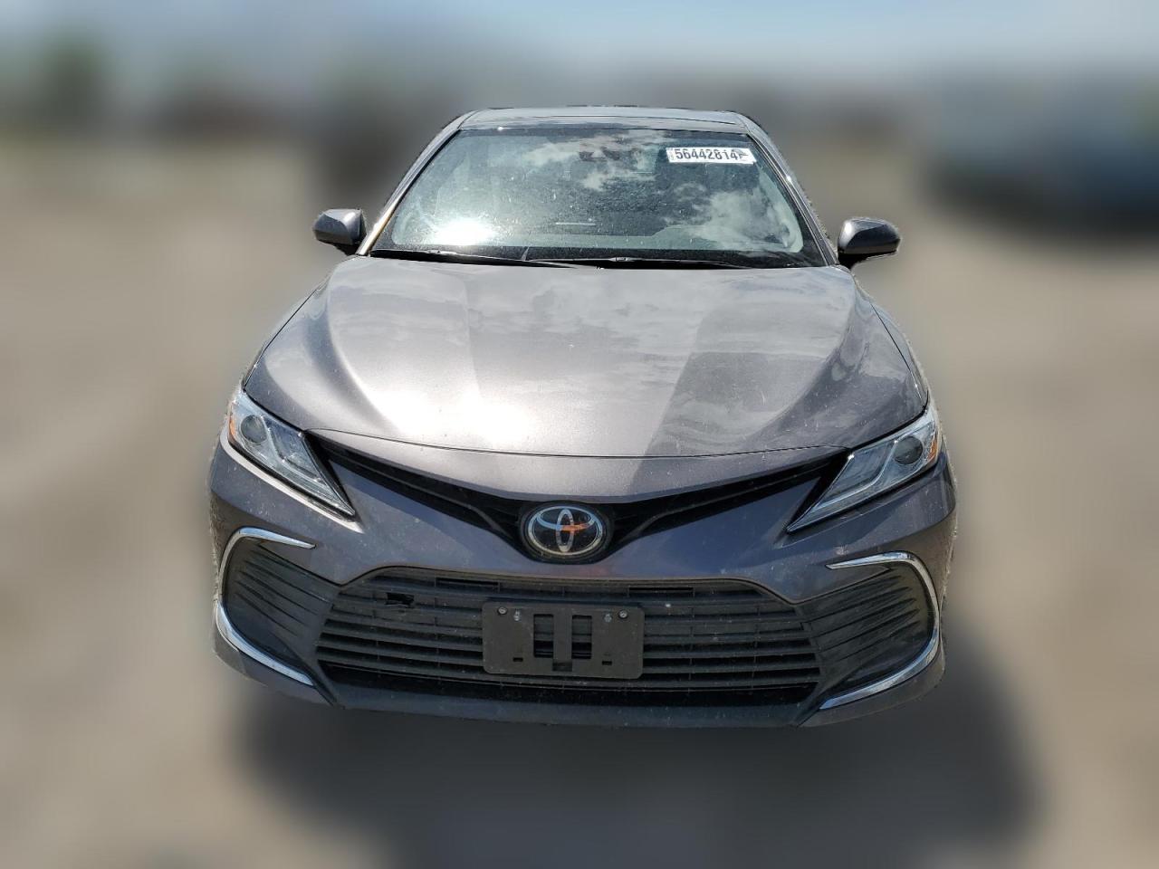 2023 TOYOTA CAMRY XLE VIN:4T1F11BK5PU084441