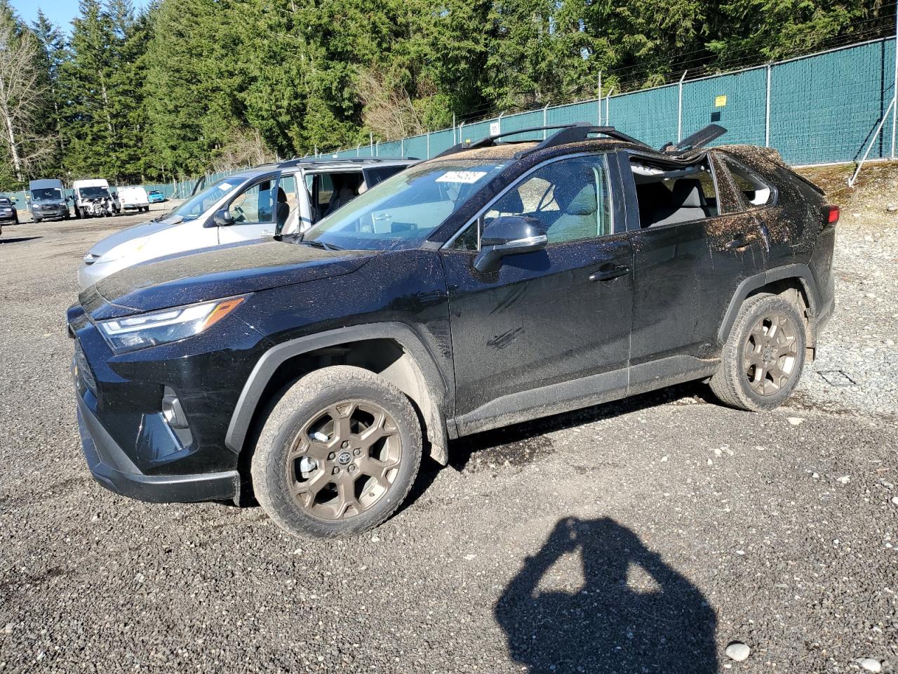 2024 TOYOTA RAV4 WOODLAND EDITION VIN:2T3UWRFVXRW204496