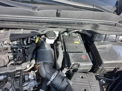 2022 Kia Carnival KNANC81BBNS149632 VIN:KNANC81BBNS149632