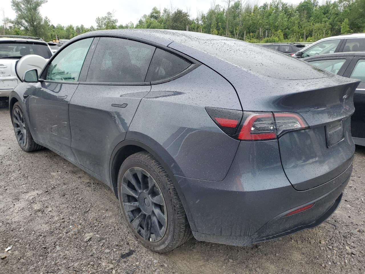 2022 TESLA MODEL Y  VIN:7SAYGDEE6NF387384