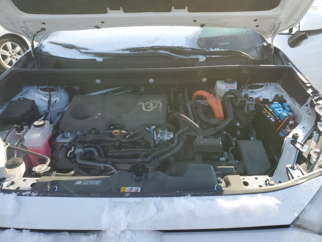 2024 TOYOTA RAV4 XLE VIN:4T3RWRFV5RU147453