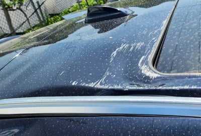 2022 BMW 640 WBACY6104N9K33449 VIN:WBACY6104N9K33449