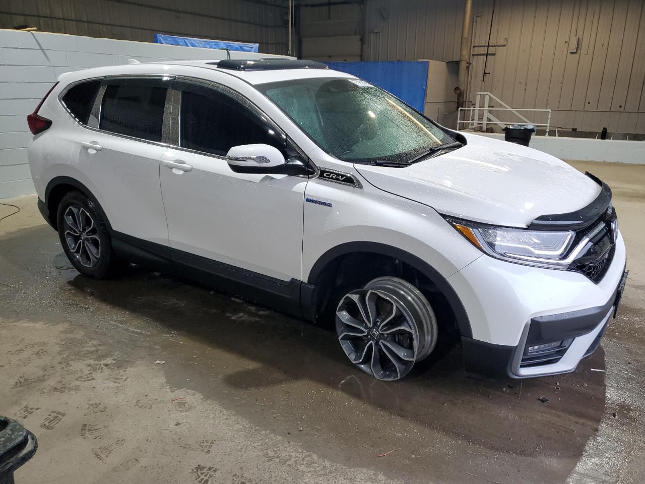 2022 HONDA CR-V EX VIN:5J6RT6H54NL053267