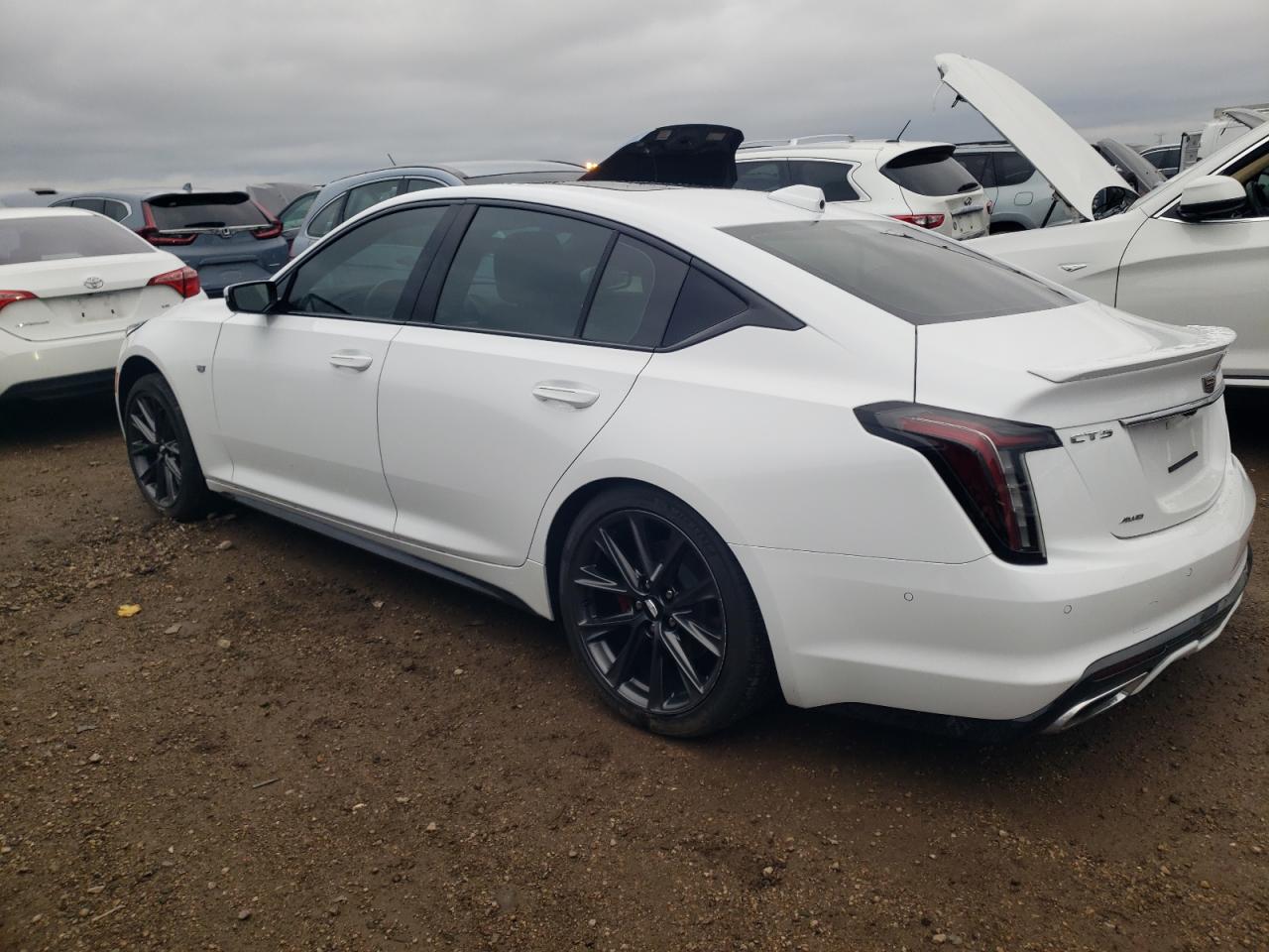 2023 CADILLAC CT5 SPORT VIN:1G6DU5RK4P0148480