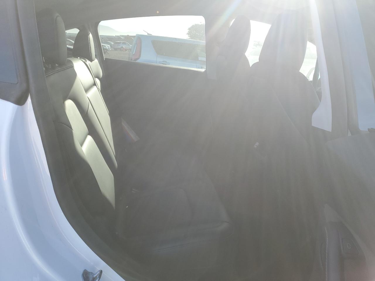 2023 TESLA MODEL Y  VIN:7SAYGDEE5PA130152