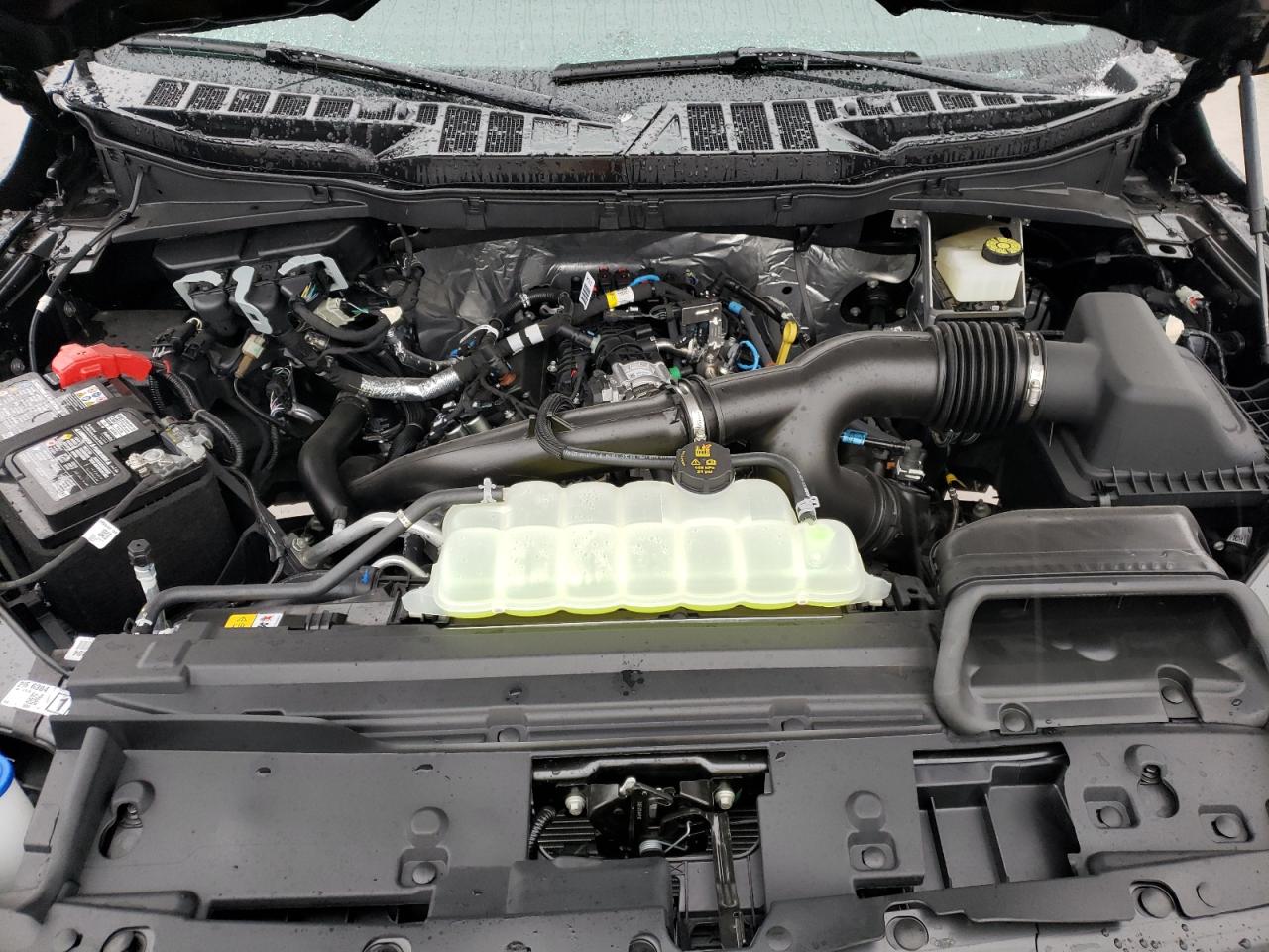 2024 FORD F150 XL VIN:1FTMF1KPXRKF31871