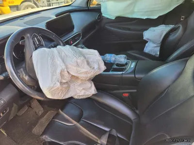 2021 Hyundai Santa FE KMHS281HGMU339324 VIN:KMHS281HGMU339324