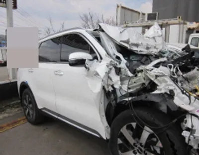 2021 Kia Sorento KNARL81BGNA139785 VIN:KNARL81BGNA139785