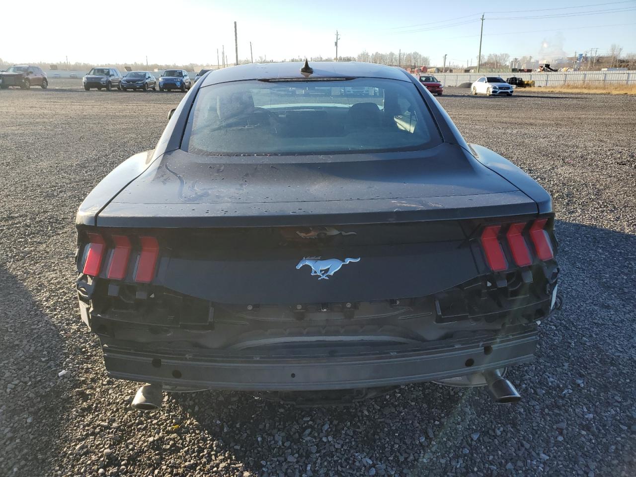 2024 FORD MUSTANG  VIN:1FA6P8THXR5129875