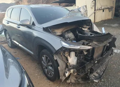 2020 Hyundai Santa FE KMKMHS281BBLU2313 VIN:KMKMHS281BBLU2313