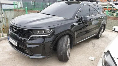 2022 Kia Sorento KNARF81BHNA125531 VIN:KNARF81BHNA125531