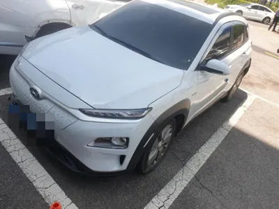 2020 Hyundai Kona KMHK381GFLU100372 VIN:KMHK381GFLU100372