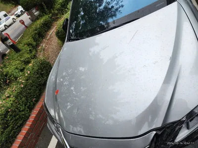 2018 Lexus ES 300 VIN: