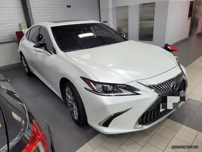 2019 Lexus ES 300 VIN: