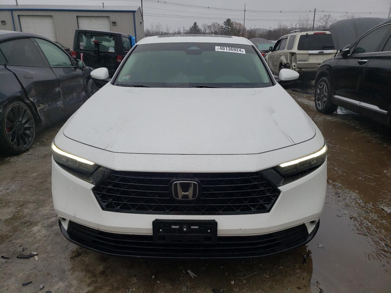 2023 HONDA ACCORD EX VIN:1HGCY1F31PA034502