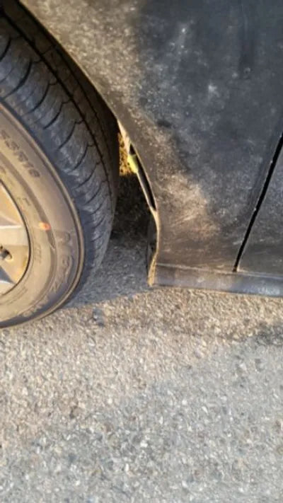 2015 Mercedes-Benz B 200 WDDMH0JB2FN125500 VIN:WDDMH0JB2FN125500