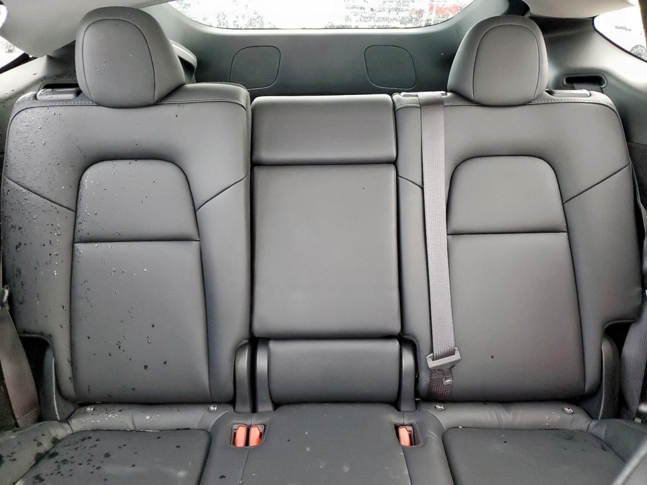 2024 TESLA MODEL Y  VIN:7SAYGDEE8RA304900