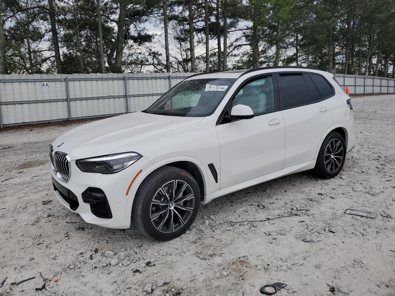 2023 BMW X5 SDRIVE 40I VIN:5UXCR4C02P9P56049