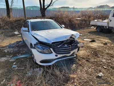 2020 Mercedes-Benz E 220 WDDZF0FB5LA752179 VIN:WDDZF0FB5LA752179