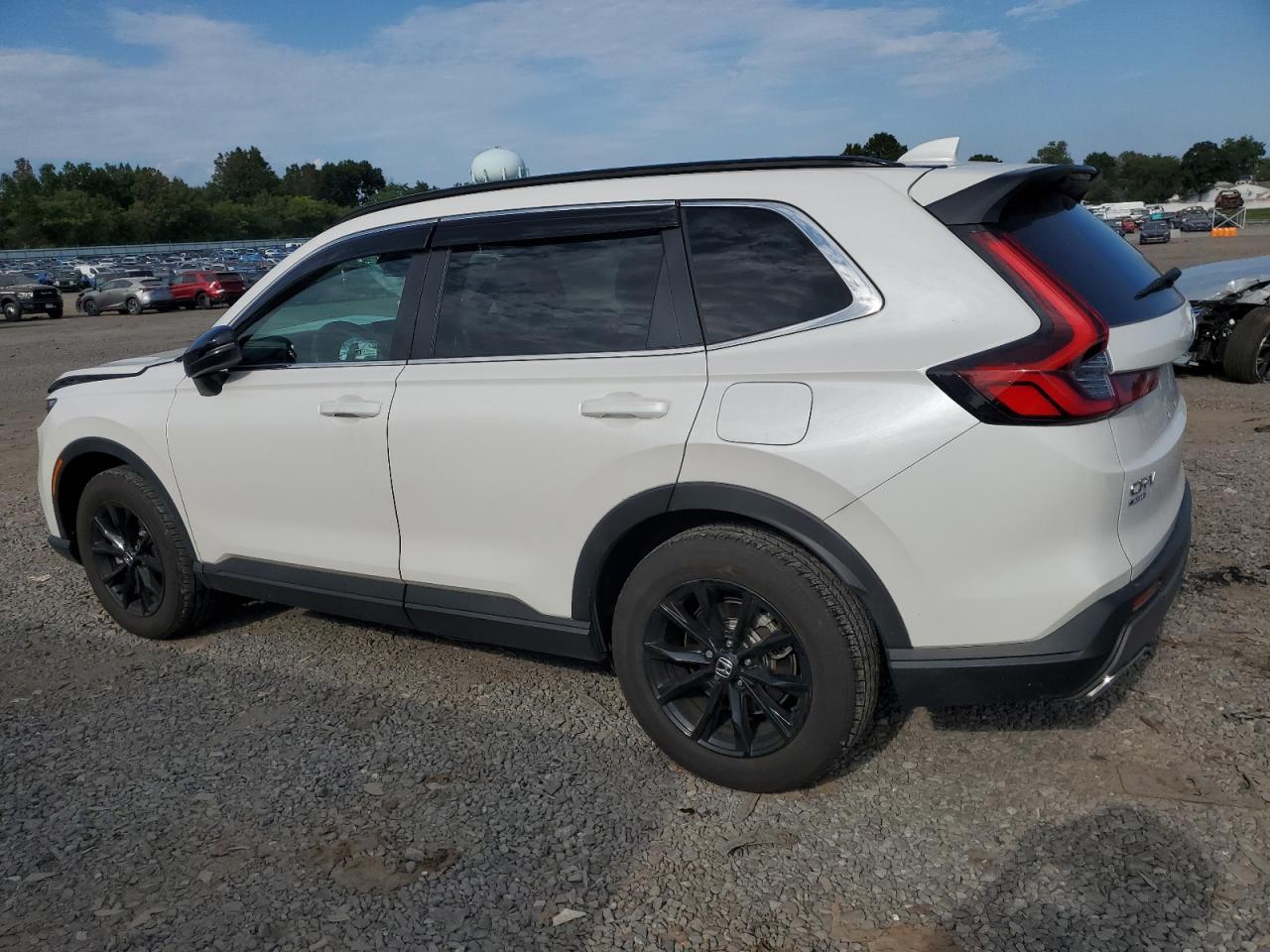 2024 HONDA CR-V SPORT VIN:5J6RS6H54RL000822