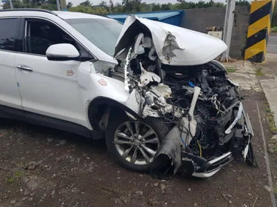 2017 Hyundai Santa FE KMHSW81UDJU818201 VIN:KMHSW81UDJU818201