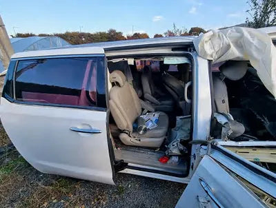 2017 Kia Carnival KNAMC81ABHS315244 VIN:KNAMC81ABHS315244