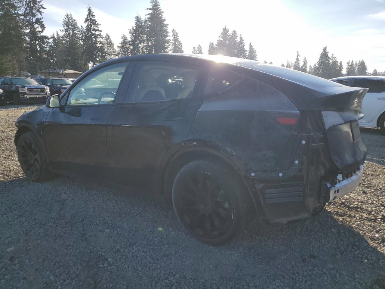 2023 TESLA MODEL Y  VIN:7SAYGDEE0PF625510