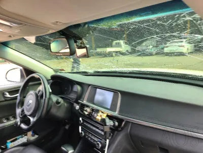 2016 Kia K5 KNAGU416BGA021424 VIN:KNAGU416BGA021424
