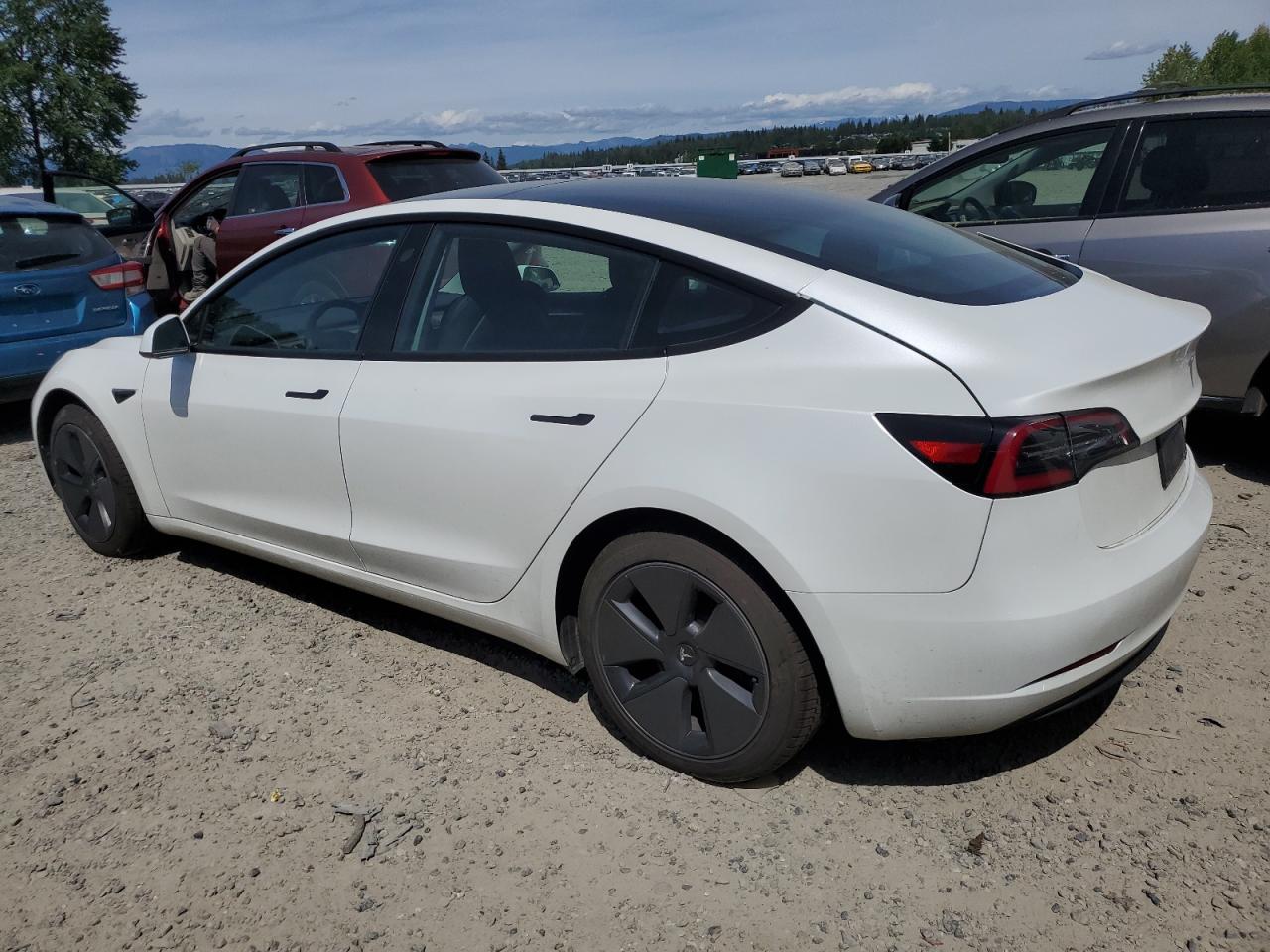 2023 TESLA MODEL 3  VIN:5YJ3E1EAXPF567141