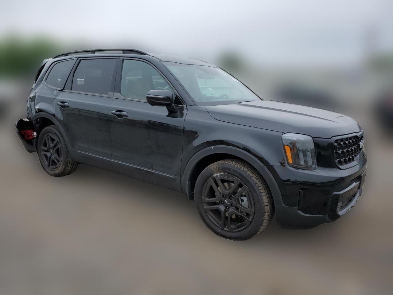 2024 KIA TELLURIDE SX VIN:5XYP5DGC5RG485492