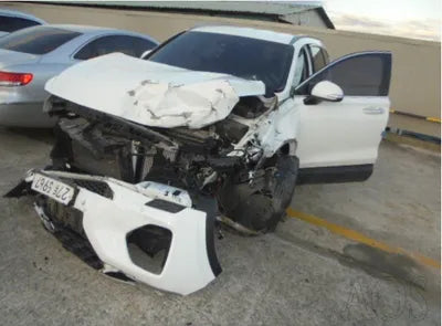 2019 Hyundai Santa FE KMHS281BDKU120334 VIN:KMHS281BDKU120334