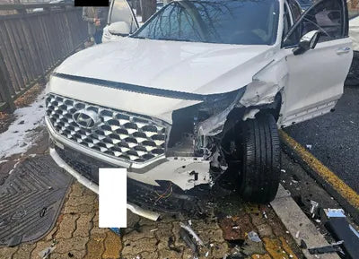 2021 Hyundai Santa FE KMHS381HGMU317770 VIN:KMHS381HGMU317770