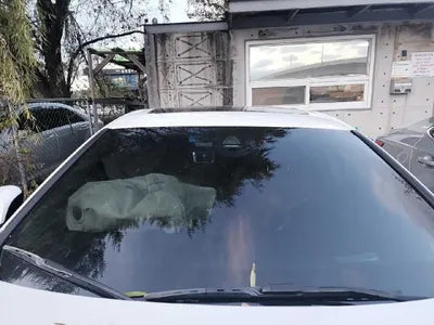 2019 BMW 420 WBA4H3105KBM45655 VIN:WBA4H3105KBM45655