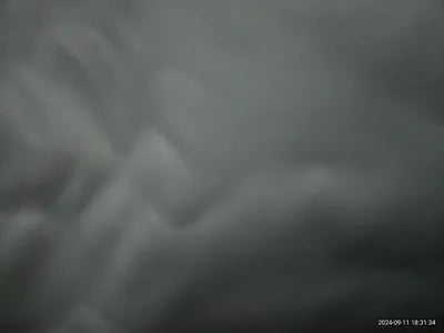 2023 Lexus RX 350 VIN: