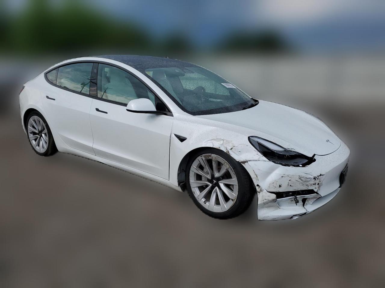 2022 TESLA MODEL 3  VIN:5YJ3E1EA8NF317362