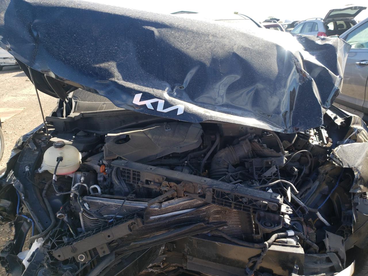 2023 KIA SPORTAGE EX VIN:5XYK33AF2PG030299
