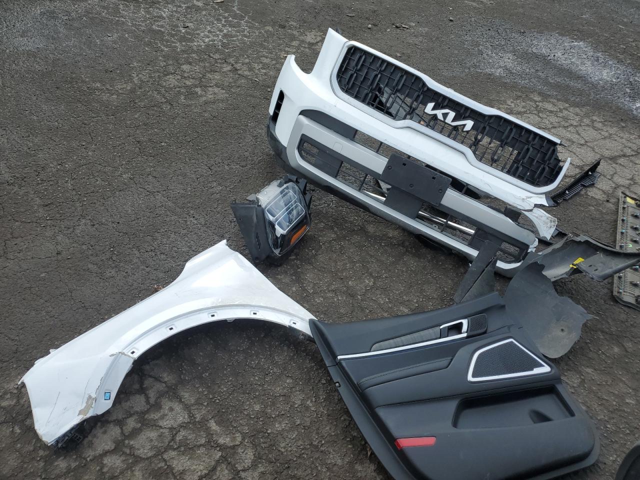 2024 KIA TELLURIDE EX VIN:5XYP3DGC2RG451676