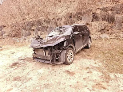 2017 Kia Sorento VIN: