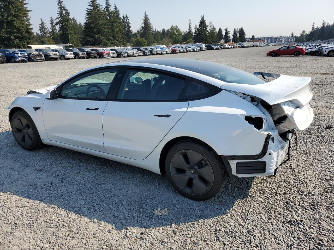 2022 TESLA MODEL 3  VIN:5YJ3E1EB6NF237597