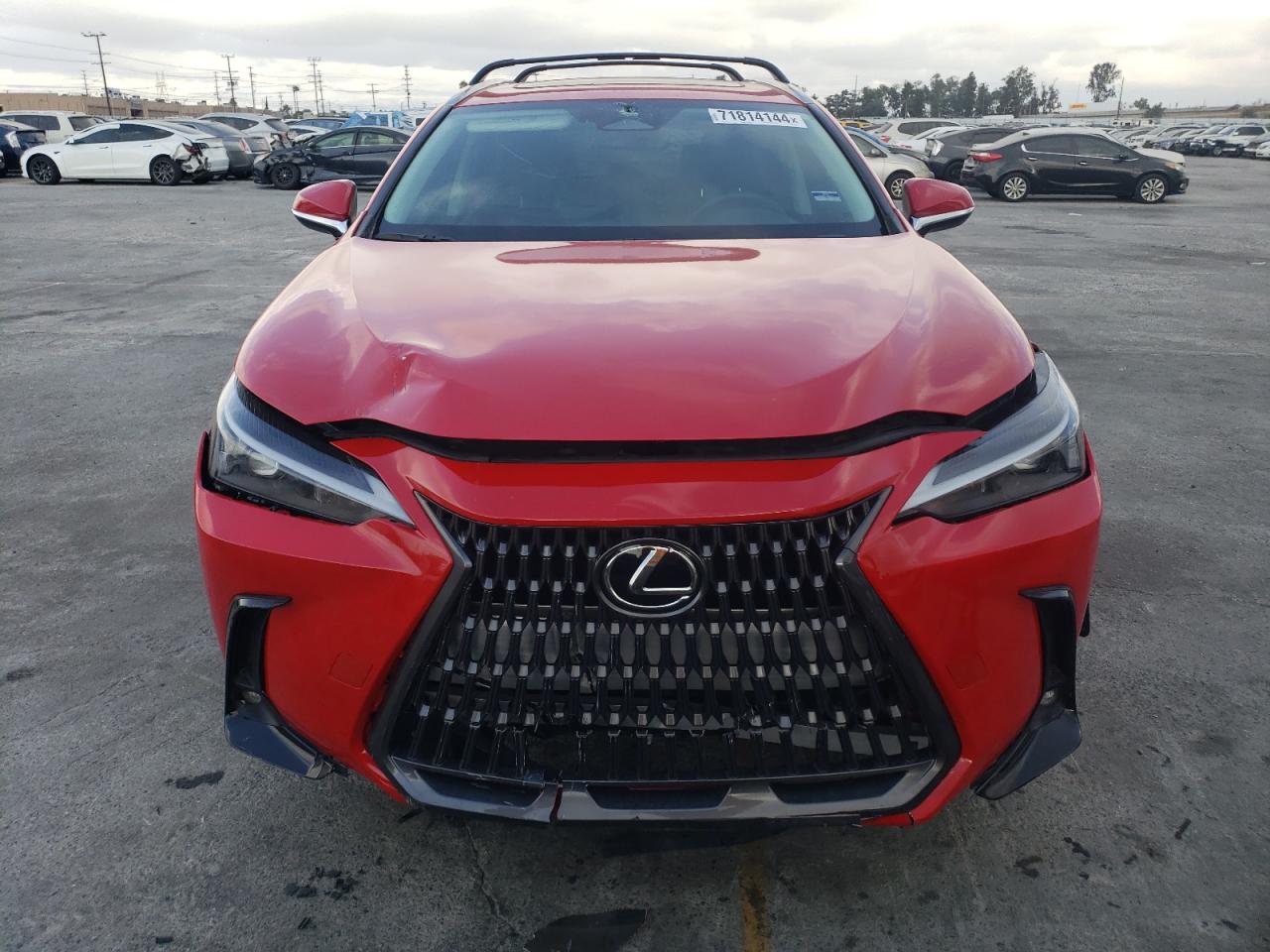 2024 LEXUS NX 250 BASE VIN:2T2ADCAZ8RC013052