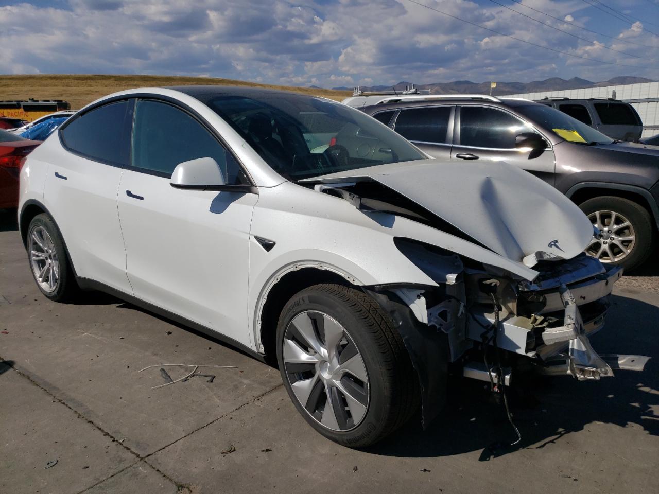 2023 TESLA MODEL Y  VIN:7SAYGDEE2PF703494