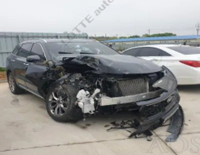2021 Kia Sorento KNARF81BGMA076325 VIN:KNARF81BGMA076325